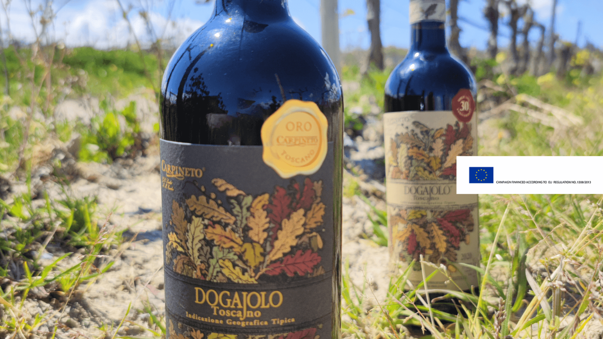<p>Thirty years of Dogajolo Rosso: let's celebrate with Dogajolo Rosso Oro</p>
